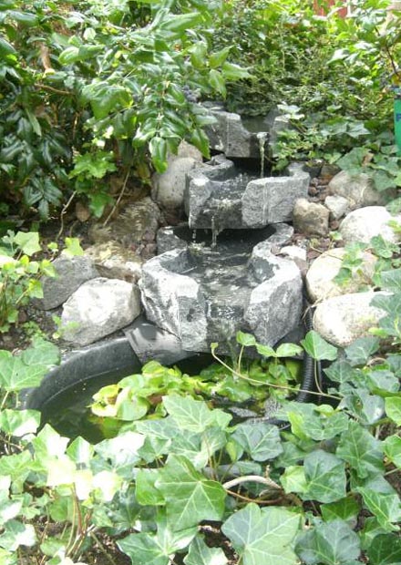 Damm från Garden Aquatica